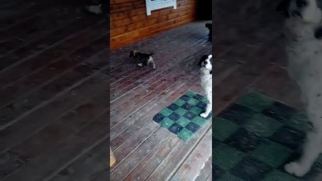 Приехоли в кафе спустя долгое время дороги в г.Култук