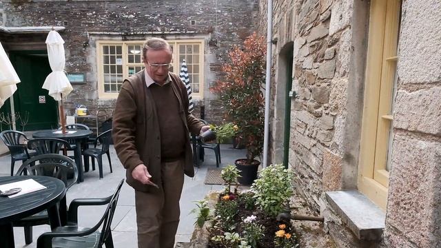 Planting out Osteospermum and Argyranthemum - Burncoose Nurseries смотреть онлайн