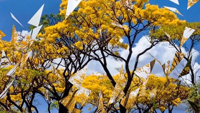 Yellow Campanula Spring (HD1080p)