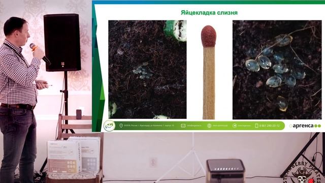 Биологизация выращивания ягоды | ГК Аргенса на антиконференции Клубничных пиратов. Белореченск 2023 смотреть онлайн
