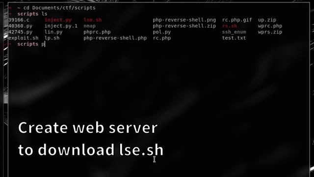 CTF Silky 0x01 смотреть онлайн