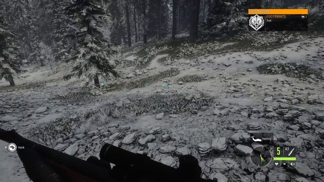 IMMERSIVE HUNTING with man's best friend! (theHunter: Call of the Wild Bloodhound DLC) | RangerDave смотреть онлайн