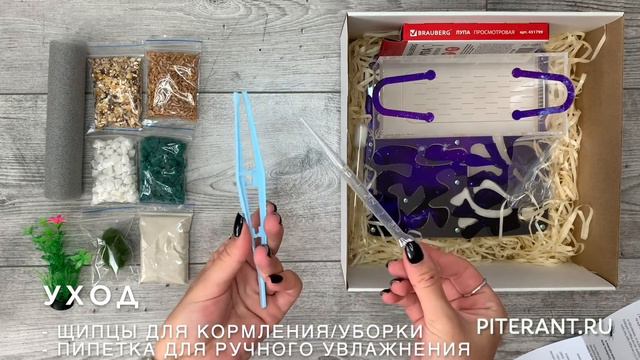 Муравьиная ферма (формикарий) PiterAnt / Расцветка "Космос" смотреть онлайн