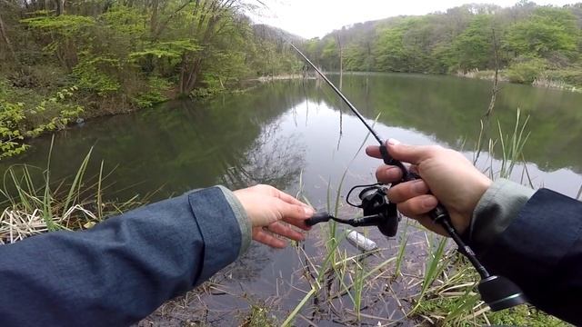 FISHUP - TANTA - 22MM смотреть онлайн