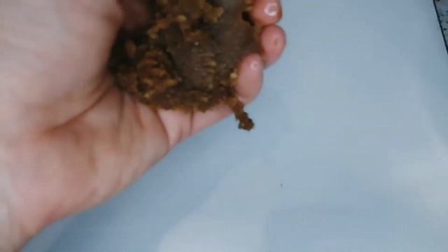 Готовим на праздник с Галиной