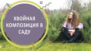 ХВОЙНАЯ КОМПОЗИЦИЯ В САДУ | Ландшафтный дизайн
