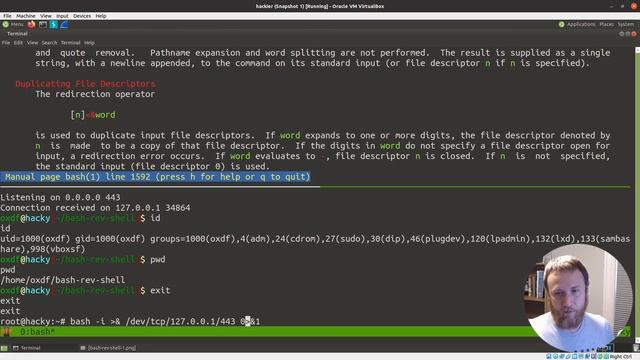 Exploring bash Reverse Shell смотреть онлайн