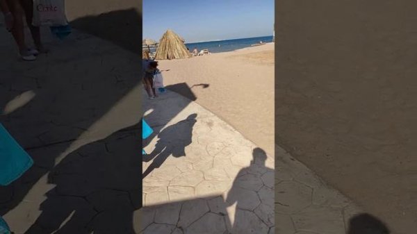 AliBABA PALACE,  ALADDIN RESORT, АЛИБАБА ПАЛАС ХУРГАДА АЛАДИН РЕСОРТ  20.12.2021 20 ДЕКАБРЯ ПЛЯЖ