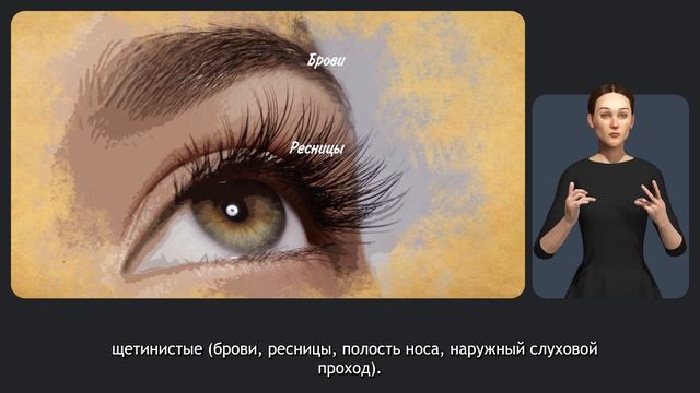 Кожа и родинки смотреть онлайн