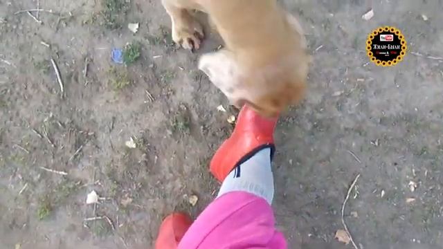 На озере VLOG: Полевые цветы Оренбург 18 августа 2019 смотреть онлайн