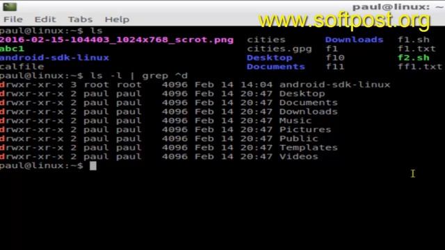 How to list only directories in Bash смотреть онлайн
