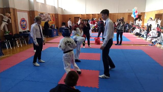 Тхэквондо GTF Феникс 17.02/2019 смотреть онлайн