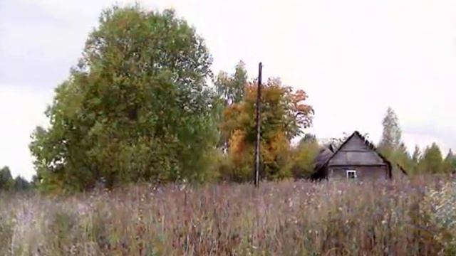 Быстротечная красота смотреть онлайн