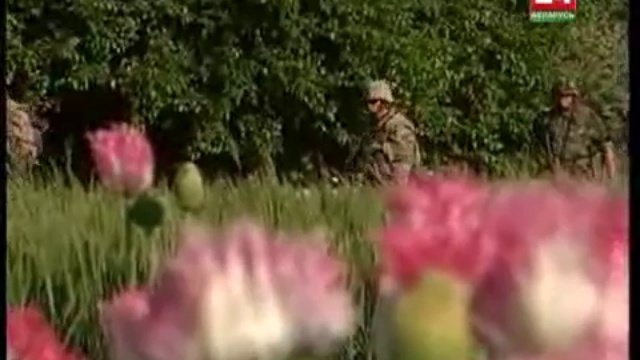 Цветы демократии. Права человека. Взгляд в мир. смотреть онлайн