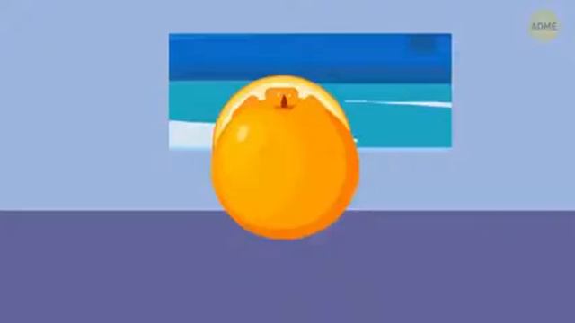 17 навыков выживания, чтобы начать быстро соображать в условиях дикой природы смотреть онлайн