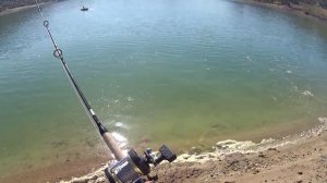 Ловля карпа. Ловля карпа на живца.