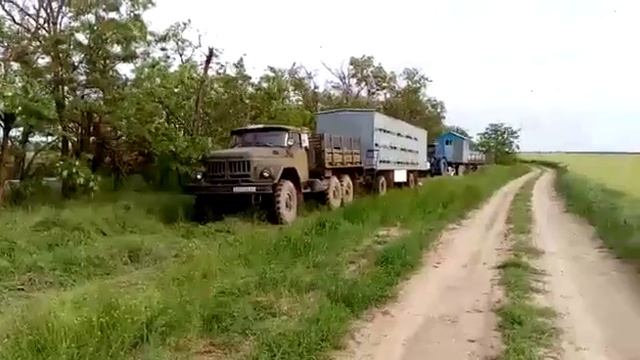 Пчелы Кордован на Акации смотреть онлайн