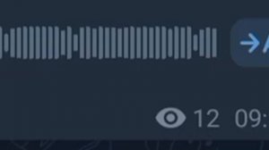 Шамиль Дидигов | Ма Гена Ели Хьо😻