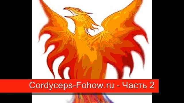 Кордицепс Fohow лекция 2 - Часть 2 / 4 смотреть онлайн