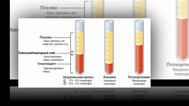 QONNING SHAKLLI ELEMENTLARI | ҚОННИНГ ШАКЛЛИ ЭЛEМEНТЛАРИ.