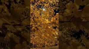 У каждого свой грех - стихотворение(К.Крамар)