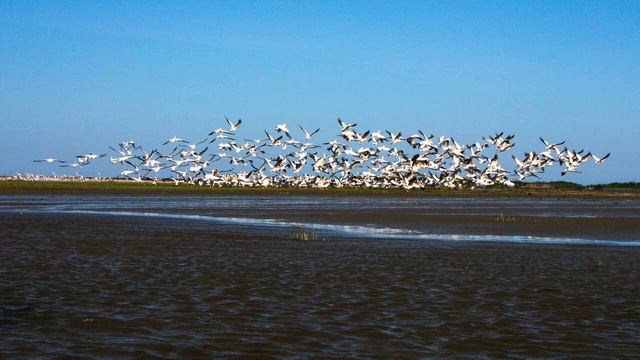 Strauss II- Blue Danube op.314 (Waltz for Christmas and Earth Day) смотреть онлайн