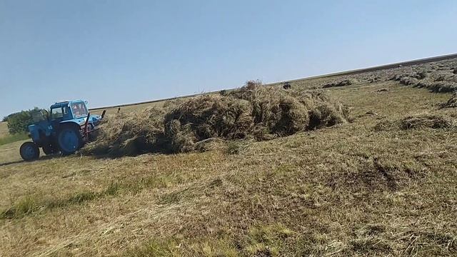 сенокос 2023 смотреть онлайн