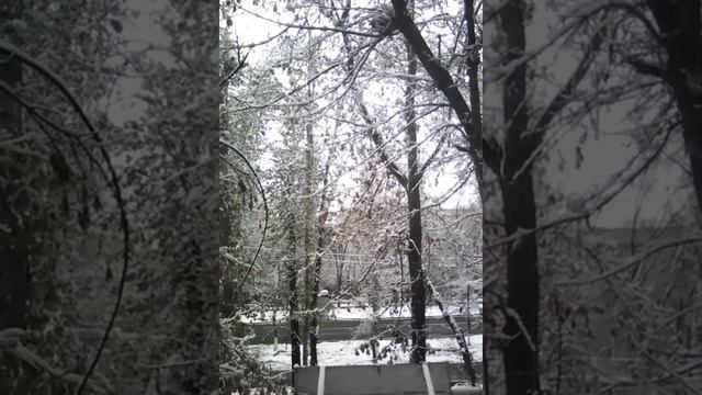 первый снег в моем городе как красиво выпал снег 19 11 2017 смотреть онлайн