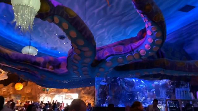 FLORIDA DAY 3: DISNEY SPRINGS & ZEST VLOG