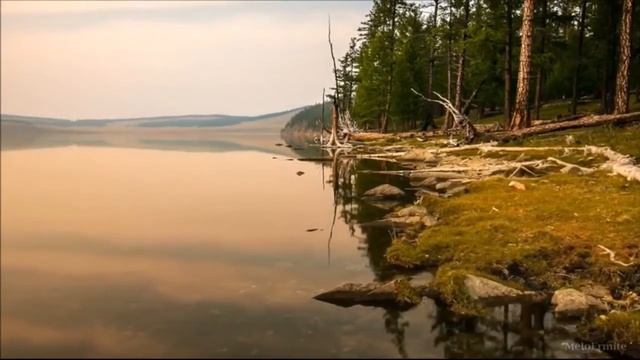 Саламат Сарсекенов_ Жизнь в жизни _ Медитация смотреть онлайн