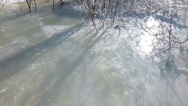 Я приглашаю вас на Заповедник Столбы 🌲🌲🌲❄️❄️❄️ смотреть онлайн