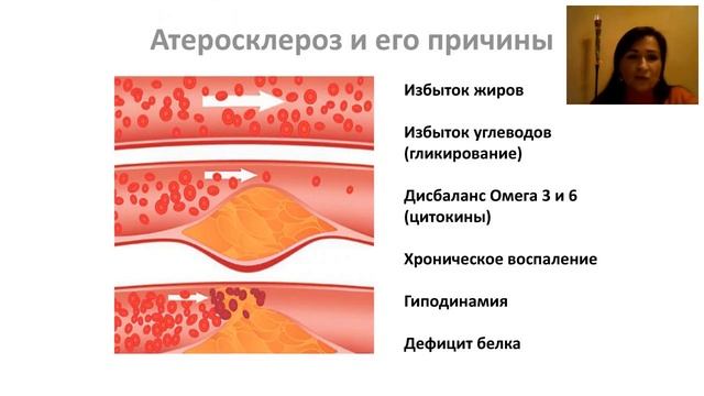 Коктейли и супы    2018 12 20