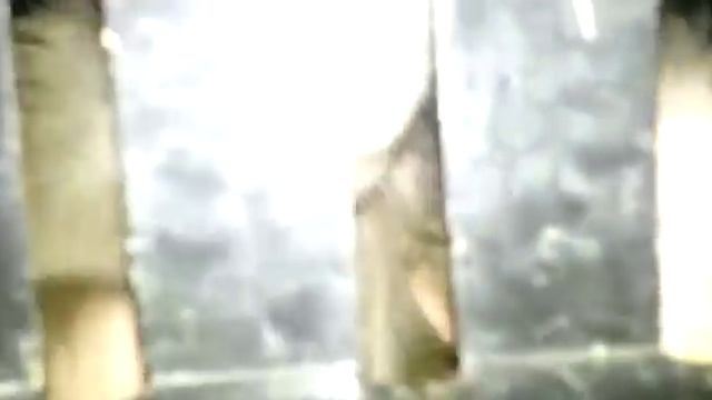 Обезьяны и кенгуру на границе смотреть онлайн