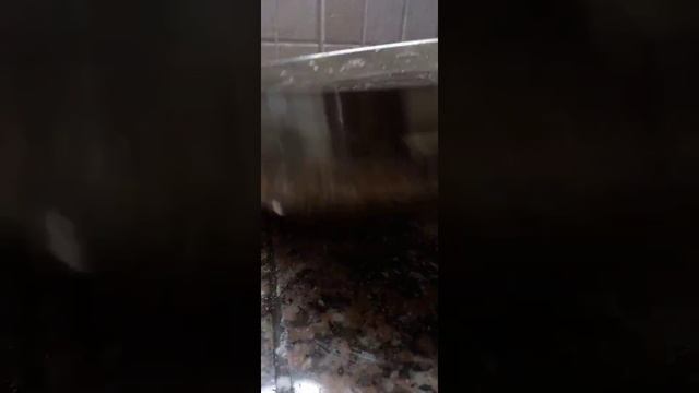 Живая Кухня