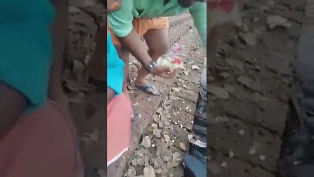 Рыбалка в Индии смотреть онлайн