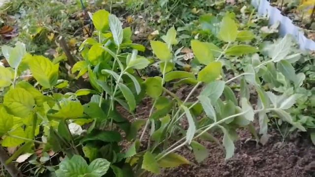 Ремонтные Открытия