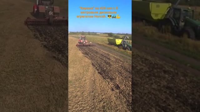 Дискование стерни гороха под сев озимой пшеницы трактором К-742МПр. смотреть онлайн