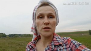 КРЕАЛИН..КАК СПАСТИ ЖИВОТНЫХ ОТ КРОВОСОСУЩИХ НАСЕКОМЫХ???