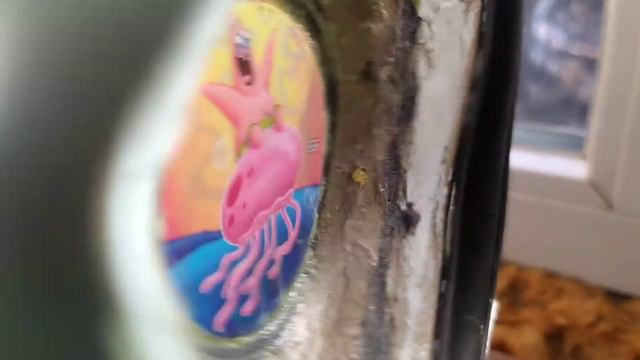 Bass канистра валит 🔥🔥🔥🔥/// смотреть онлайн