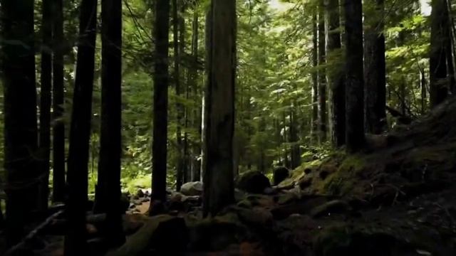 Гарри Поттер и Философский камень.