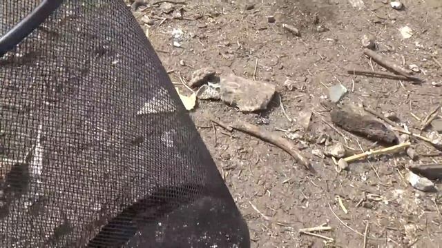 КУРЫ НЕСУШКИ и бройлеры кобб- 500, Французские голошейки. смотреть онлайн