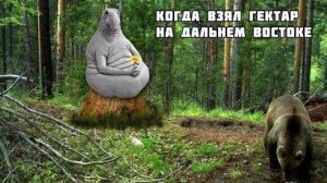 Россиянам раздают землю / Как оформить гектар на Дальнем Востоке ?