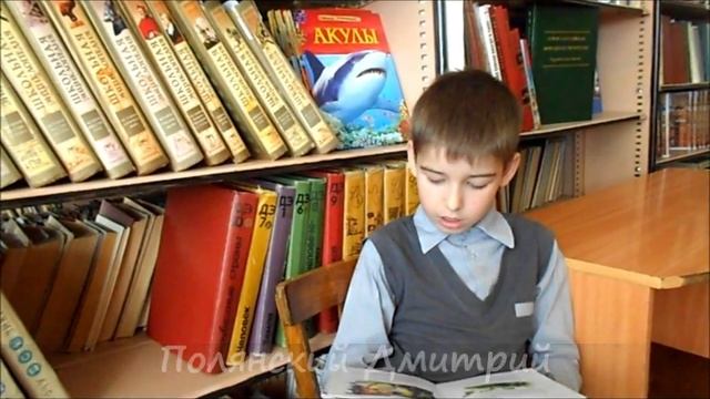 Сладков Н. Кто как спит смотреть онлайн