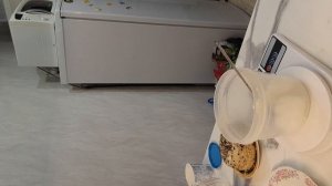 6.08 ЗАВТРАК ТВОРОЖНЫЙ ОМЛЕТ,
БУТЕРБРОДЫ И САЛАТ СО СВЁКЛОЙ