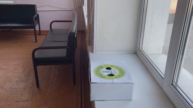 Социально-экологический видеоролик. Утилизация самых распространенных загрязнителей нашей планеты смотреть онлайн