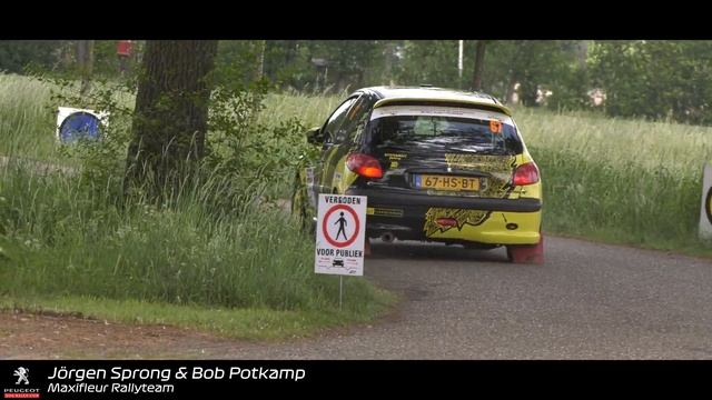 Peugeot 206 Rally Cup - ELE Rally 2022 смотреть онлайн