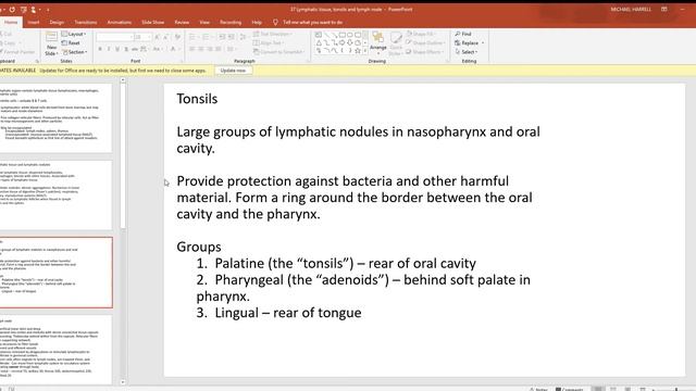 37 Lymphatic tissue, tonsils and lymph node смотреть онлайн