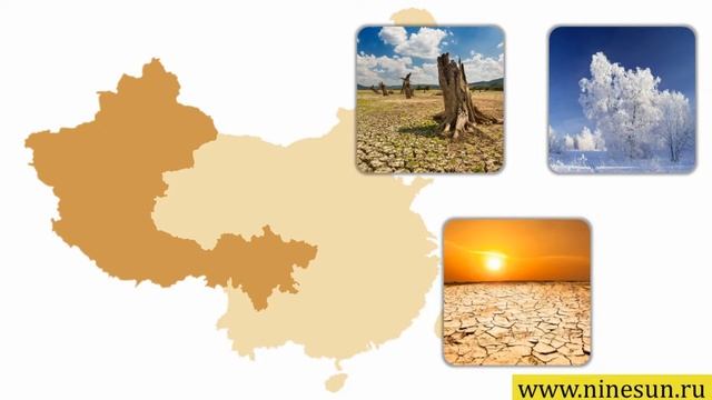 Чай «Элемент Металл» (легкие) - Ло Юлия