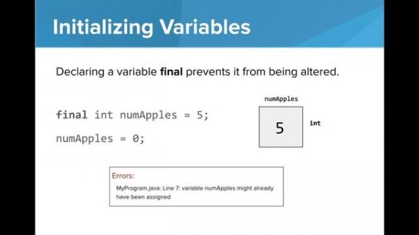 AP Java Variables