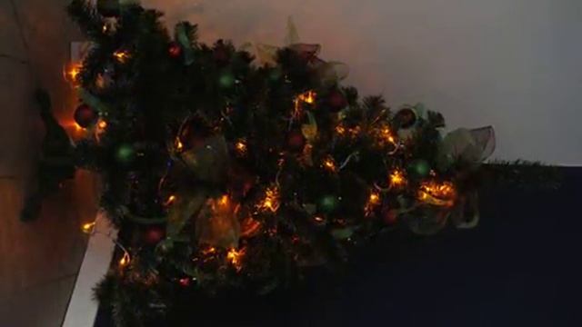 Świerk Szarlotka 150cm смотреть онлайн